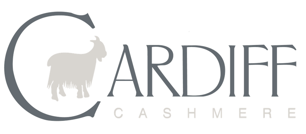 Logo Cardiff